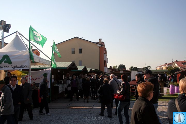 Fiera del lunedì (496).JPG